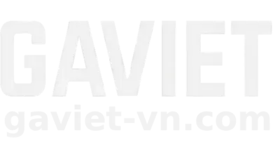 gaviet-logo